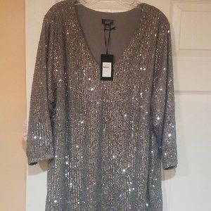 Silver Sequined Top